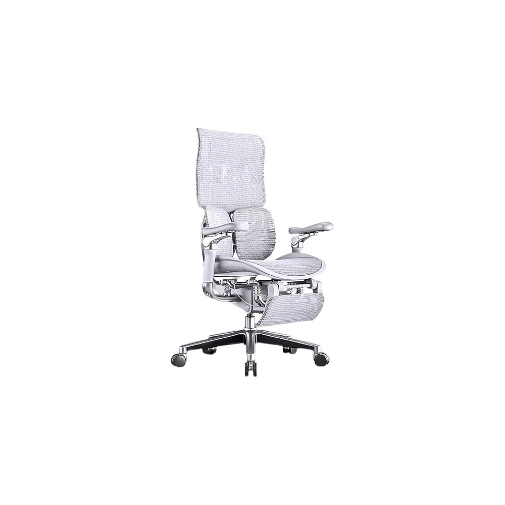 Ergonomischer Netz-Bürostuhl, Chefsessel für das Homeoffice, mit Lordosenstütze, Rückenlehne (E)