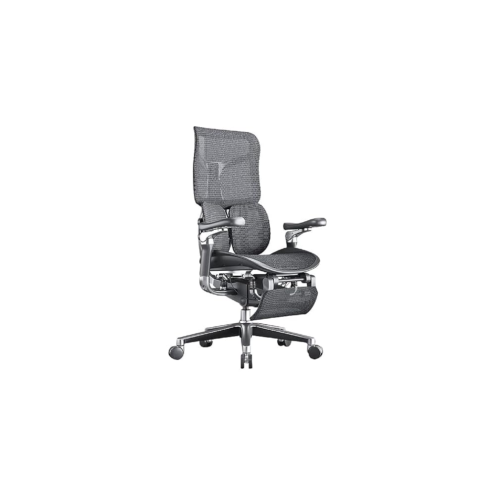 Ergonomischer Netz-Bürostuhl, Chefsessel für das Homeoffice, mit Lordosenstütze, Rückenlehne (E)