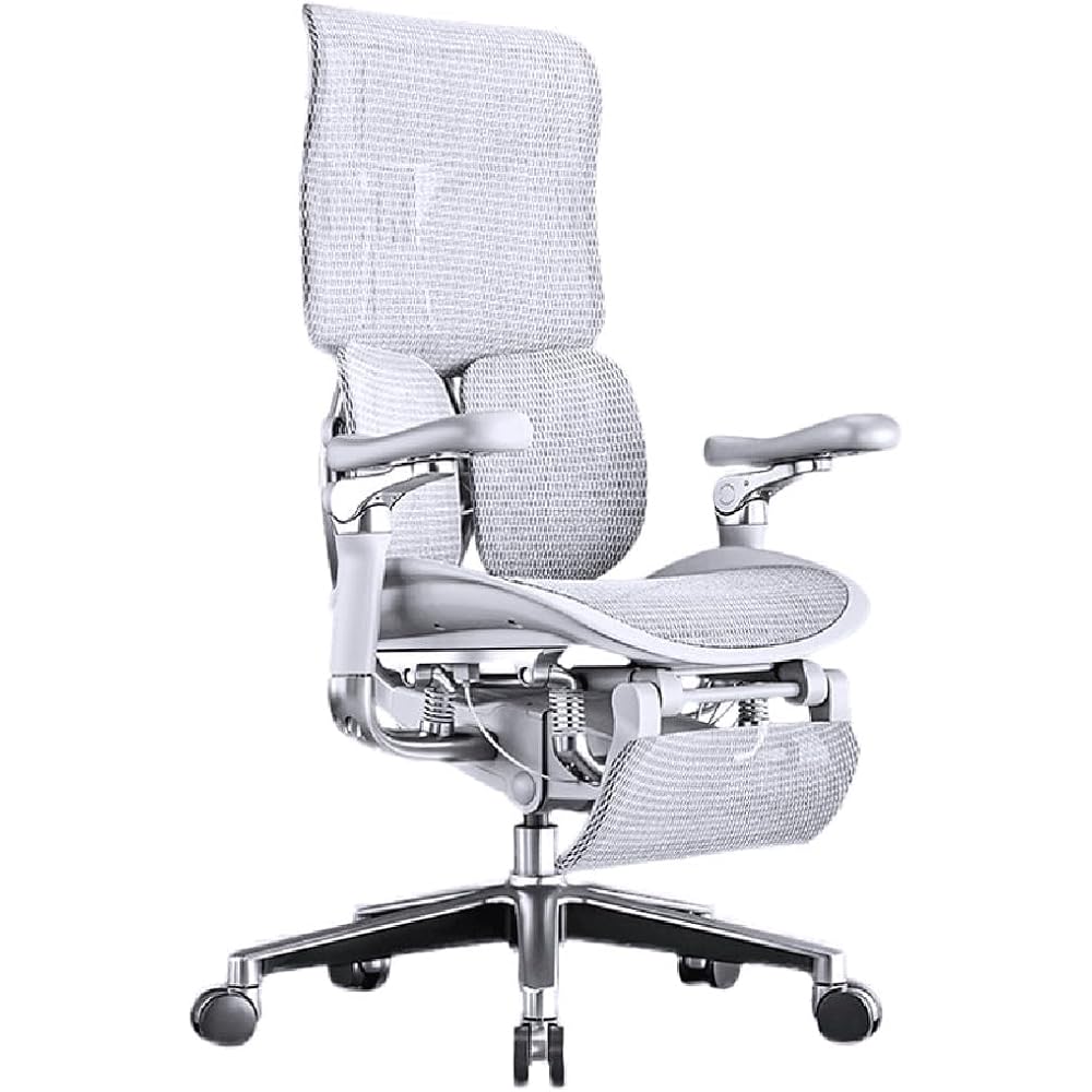 Ergonomischer Netz-Bürostuhl, Chefsessel für das Homeoffice, mit Lordosenstütze, Rückenlehne (E)
