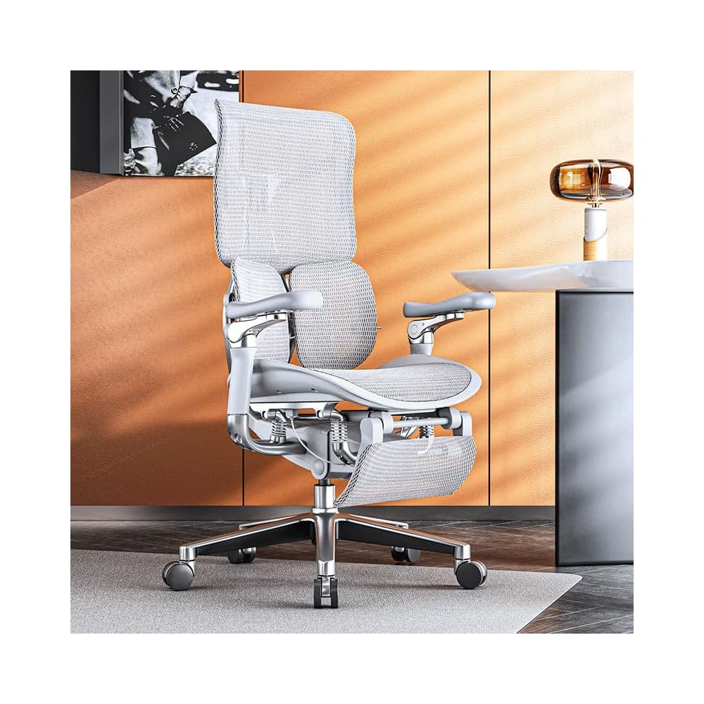 Ergonomischer Netz-Bürostuhl, Chefsessel für das Homeoffice, mit Lordosenstütze, Rückenlehne (E)