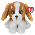 Barker brauner und weißer Hund