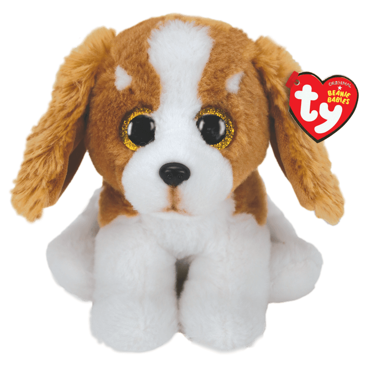 Barker brauner und weißer Hund
