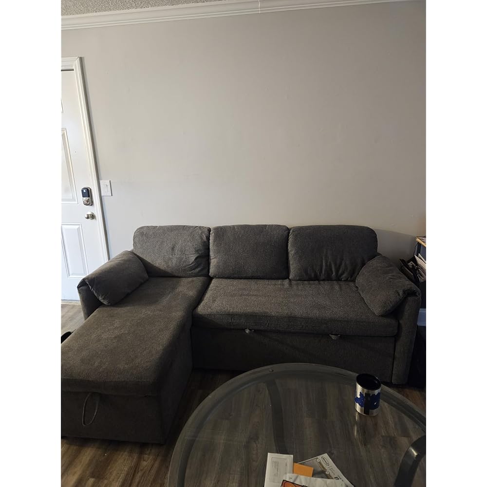 80" 3 in 1 Sleeper Sofa Couch with USB & Storage Chaise, Cloud Sofa Bed with Pull Out Bed, Chenille Convertible Sleeper Sofas for Living Room, Small Spaces, Beige