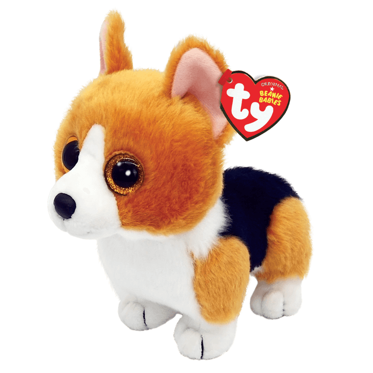 Colin Corgi Hund