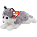 Baltischer grauer und weißer Husky