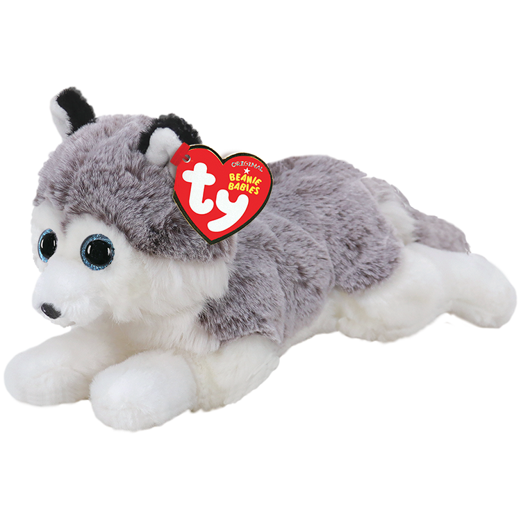 Baltischer grauer und weißer Husky